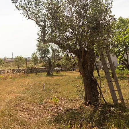 Lantställe A Look Salento *