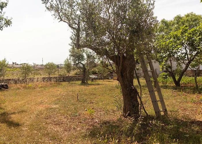 Country house A Look Salento *